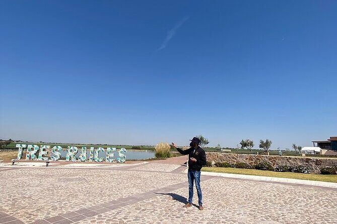 Wine Route !, Vineyards, wine tasting and pairing - An In-Depth Look at the Tour Itself