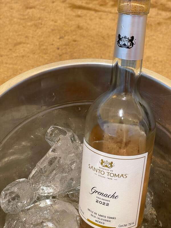 Wine & Tacos Tour at Ensenada. All inclusive! - The Experience in Practice