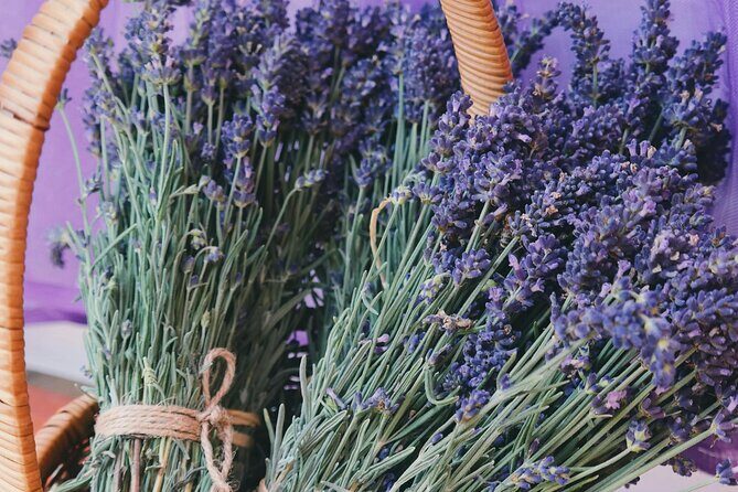 Wine Tasting and lavender Farm Tours - Practical Details That Matter