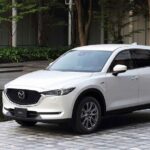 Wine Tasting, Private Transportation in the Tri-Cities WA - Why This Tour Works Well