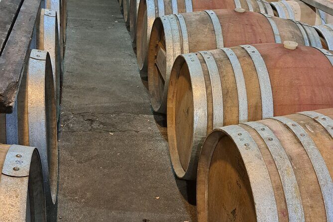 Wine Tasting Tour in Napier Region - Final Thoughts