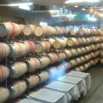 Wine Tasting, Vineyards in Eastern WA from Seattle - Key Points
