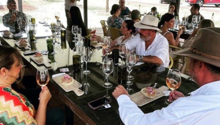 Wine tour and tasting at Vinícola Tierra de Luz - Starting at the Hacienda Jaramillo de Abajo