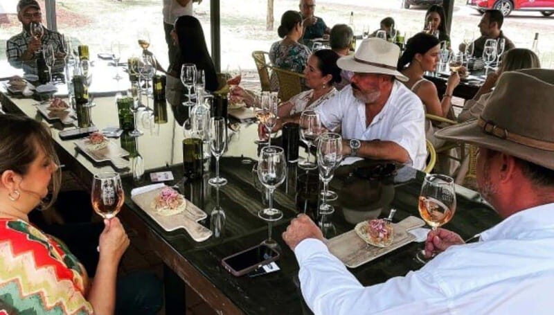 Wine tour and tasting at Vinícola Tierra de Luz - Starting at the Hacienda Jaramillo de Abajo