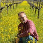 Wine Tour Pros - Corporate Charters and Events - The Real Experience: What You’ll Love and What to Watch Out For