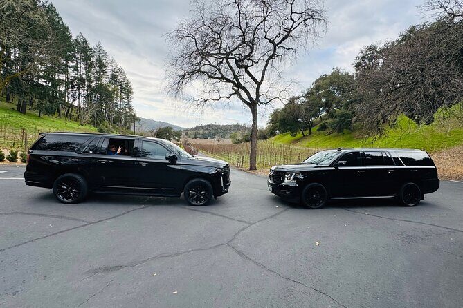 Wine Tours for 6 Hours and Private Transportation Services - What Travelers Can Expect