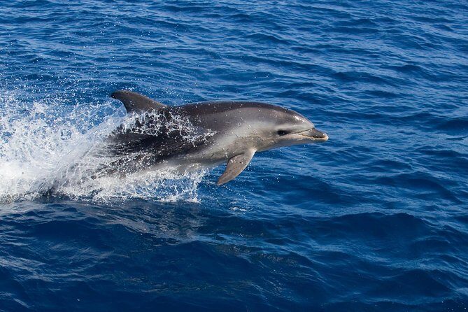 Wineglass Bay Cruise from Coles Bay - Who Is It Best For?