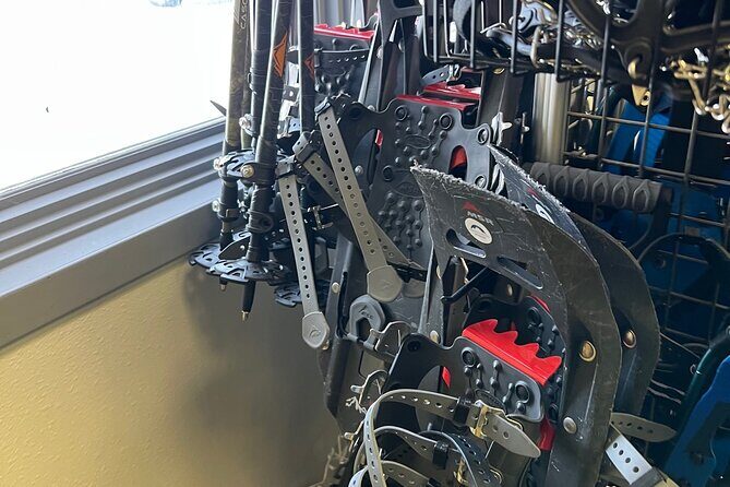 Winter Hiking Set for Snowshoes and Trek Poles - Pricing and Value