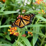 Winter Wonder Tour - Practical Tips for Booking and Participating