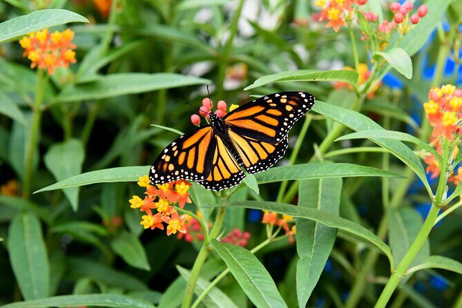 Winter Wonder Tour - Practical Tips for Booking and Participating