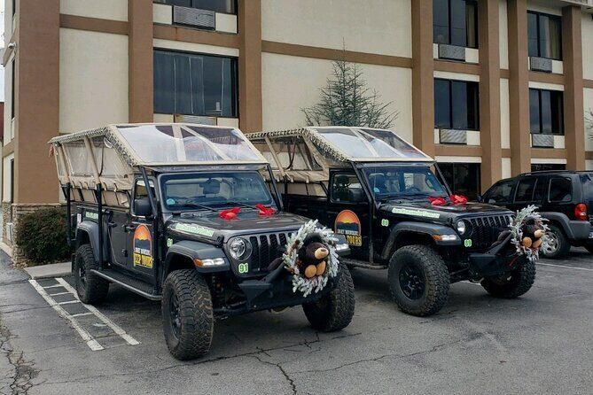 Winterfest Scenic Evening Tour - The Reality: Pros and Cons