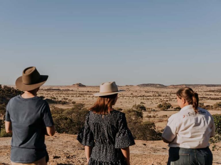 Winton: Rangelands Rifts & Sunset Tour - Why You Might Love This Tour