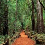 Women Only 5 day California Vineyards, Waves and Wine Tour - Day 1: San Francisco & the Golden Gate Bridge