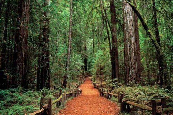 Women Only 5 day California Vineyards, Waves and Wine Tour - Day 1: San Francisco & the Golden Gate Bridge