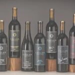 Women Winemakers in Woodinville WA - What Does the Tour Include?