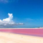 Wonderful Tour Las Coloradas & Buffete only from Cancun - The Practical Details