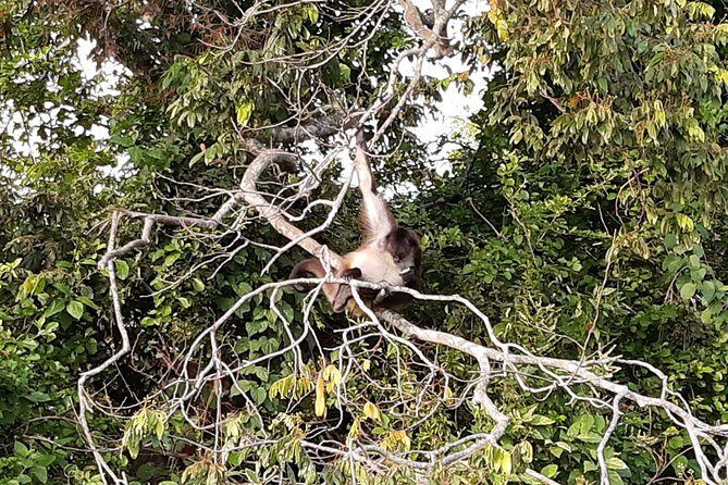 Wonders in the jungle of our mother culture Catemaco & Los Tuxtlas - The Realities of the Experience