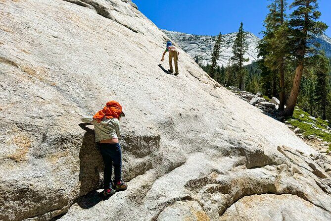 Wonders of Yosemite: Kid Friendly Private Tour - The Itinerary: A Closer Look