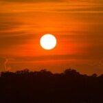 Wrightsville Beach Sunset Dolphin Tour - Authentic Traveler Feedback