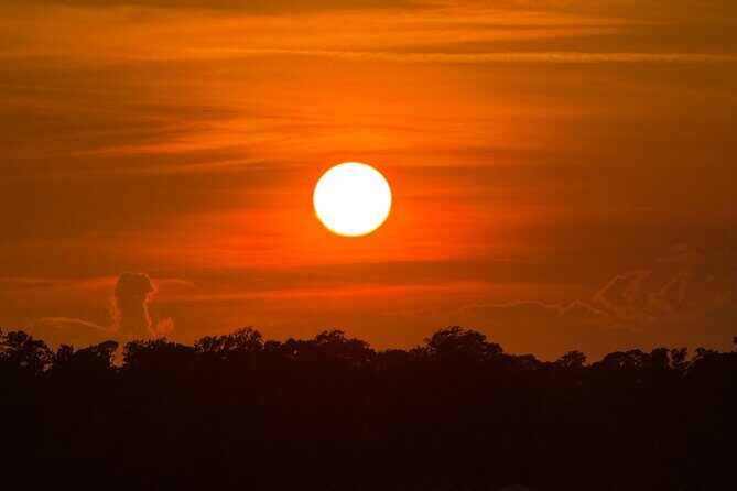 Wrightsville Beach Sunset Dolphin Tour - Authentic Traveler Feedback