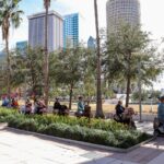 Wyld Things Rydables Tour of Tampa - FAQ About the Wyld Things Rydables Tour of Tampa