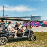 Wynwood Art District 1-Hour Street Art Tour by Golf Cart - Who Should Consider This Tour?
