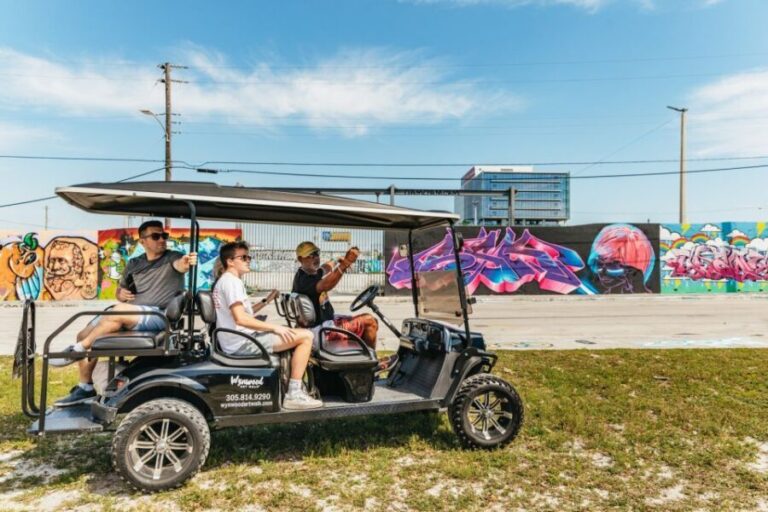 Wynwood Art District 1-Hour Street Art Tour by Golf Cart - Who Should Consider This Tour?