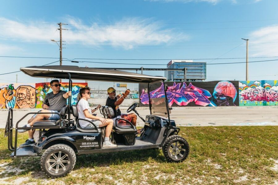 Wynwood Art District 1-Hour Street Art Tour by Golf Cart - Who Should Consider This Tour?