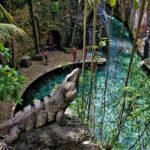 Xcaret Nature Adventure - The Pros & Cons