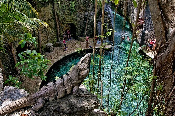 Xcaret Nature Adventure - The Pros & Cons