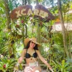 Xcaret Plus Discover History, Culture With Buffet from Cancun - Who Would Love This Tour?