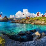 Xcaret Plus Ticket - Real Traveler Insights