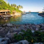 Xcaret Tour Plus with Buffete and Transportation only from Cancun - What the Reviews Say