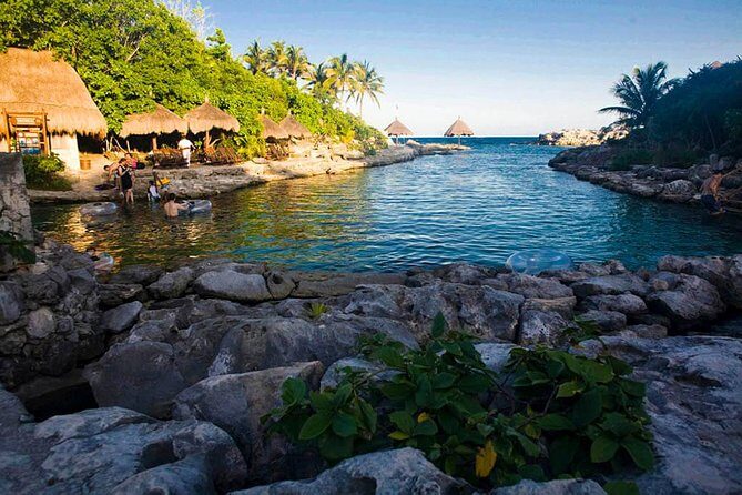 Xcaret Tour Plus with Buffete and Transportation only from Cancun - What the Reviews Say