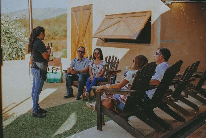 Xecue Wine Tasting in the Guadalupe Valley - The Real Deal: Who Should Consider This Tour?