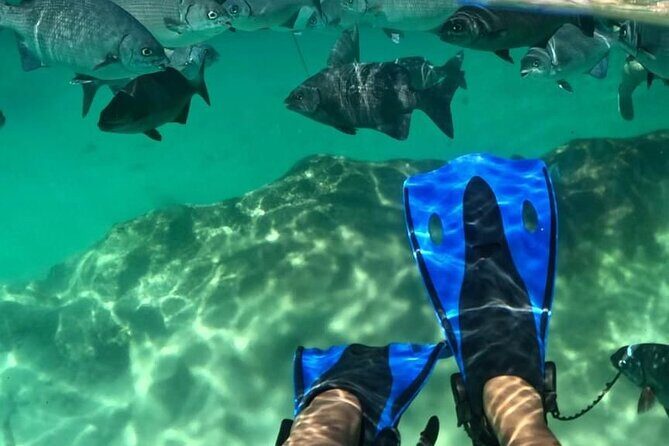 Xel-ha All Inclusive Tour - How is the Transportation and Group Size?