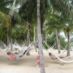 Xel ha Park Tour All inclusive! Nature & Fun from Cancun & Playa Del Carmen - Who Should Consider This Tour?