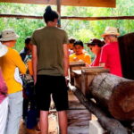 Xkopek, Mayan Bees Tour and Honey Tasting in Valladolid - FAQ
