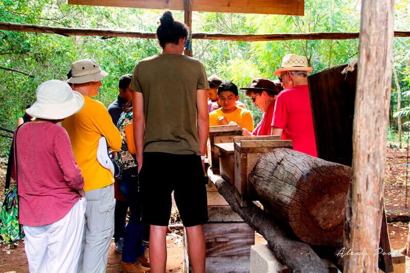 Xkopek, Mayan Bees Tour and Honey Tasting in Valladolid - FAQ