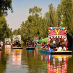 Xochimilco, Casa de Frida Kahlo, Coyoacán and UNAM - Key Points