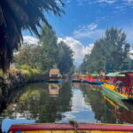 Xochimilco + Coyoacán Combo Full-Day Tour - Starting Point: Hotel Pickup