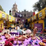 XOCHIMILCO & COYOACAN (Private) - Final Thoughts