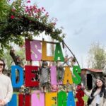 Xochimilco : Island of the dolls, tequila and mezcal CDMX - What Travelers Say: Authentic Feedback