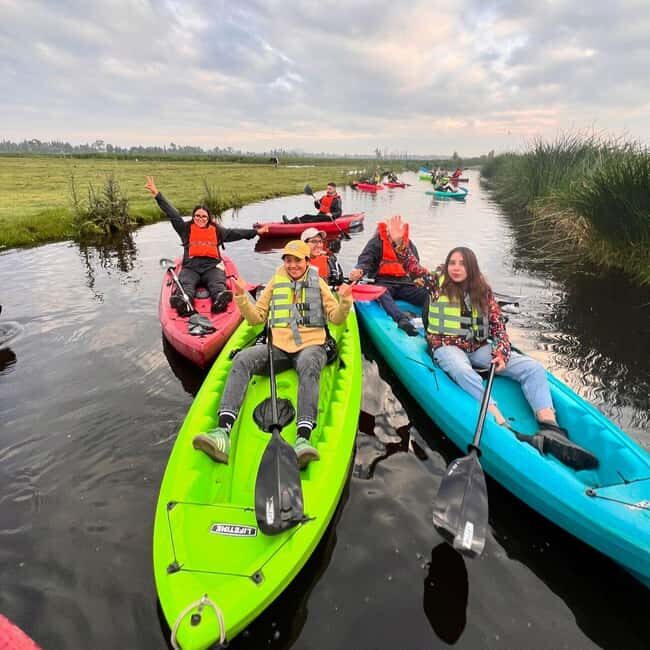 Xochimilco: Kayak Tour and Axolotl Watching - Meet the Endangered Axolotl
