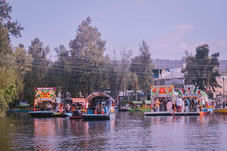 Xochimilco: Party on a trajinera with food, drinks, and music - The Itinerary in Detail