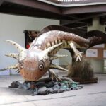 Xochimilco The island dolls and Axolotl museum from Mexico City - Practical Details and Value