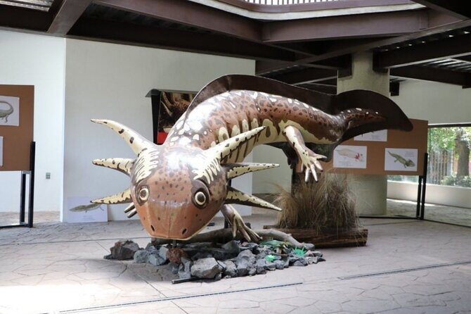 Xochimilco The island dolls and Axolotl museum from Mexico City - Practical Details and Value