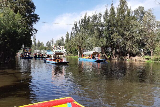 Xochimilco Tour - What to Expect from the Itinerary