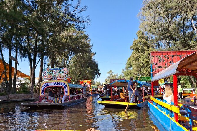 Xochimilco without Traps for Tourists - Why You Might Love This Experience
