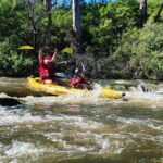 Yarra River Half-Day Rafting Experience - What’s the Actual Paddling Experience Like?